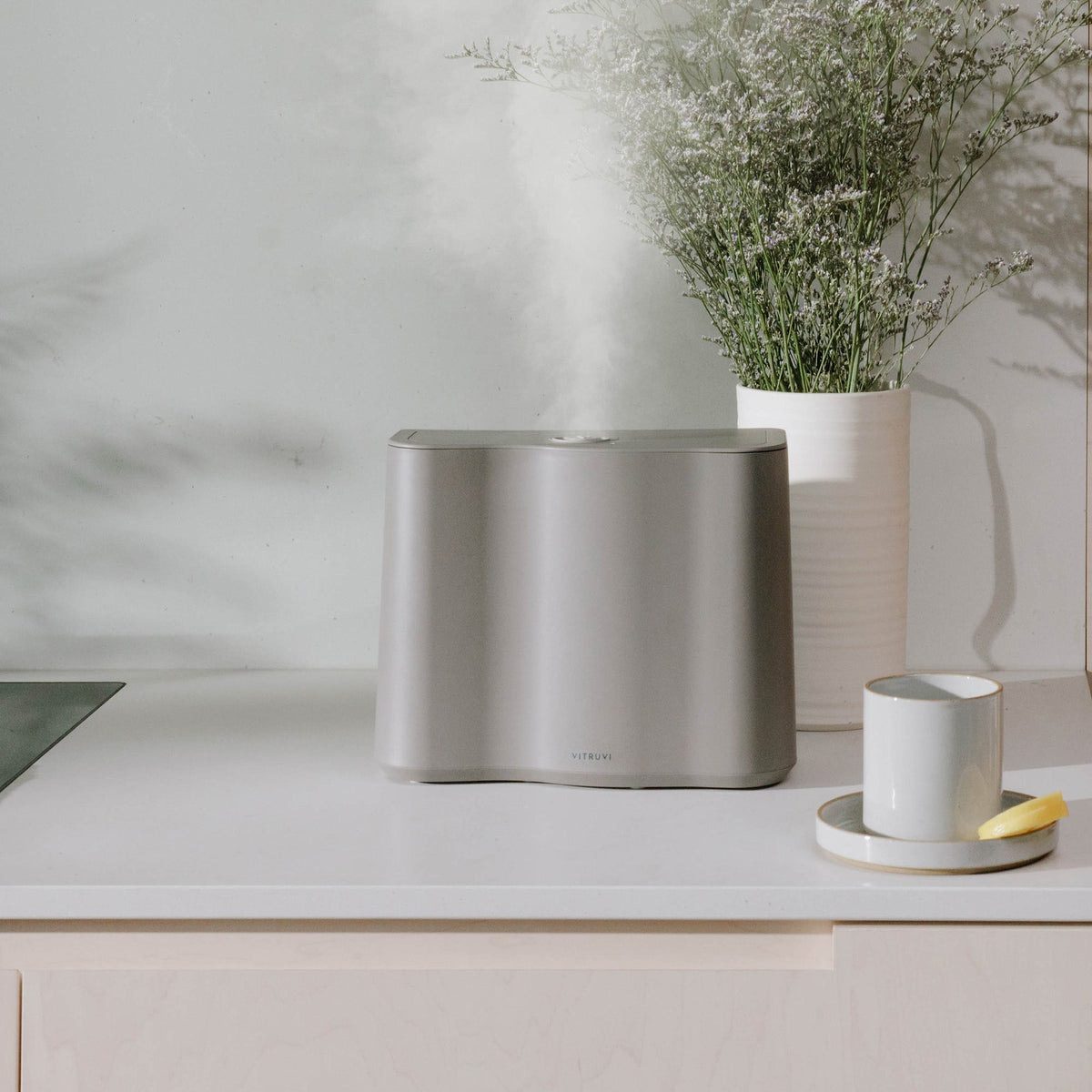 Cloud Humidifier
