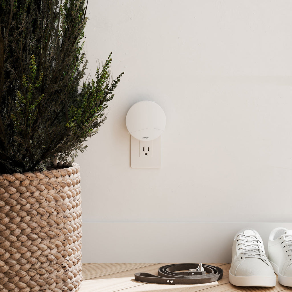Build Your Own Humidifier & Push Diffuser Bundle